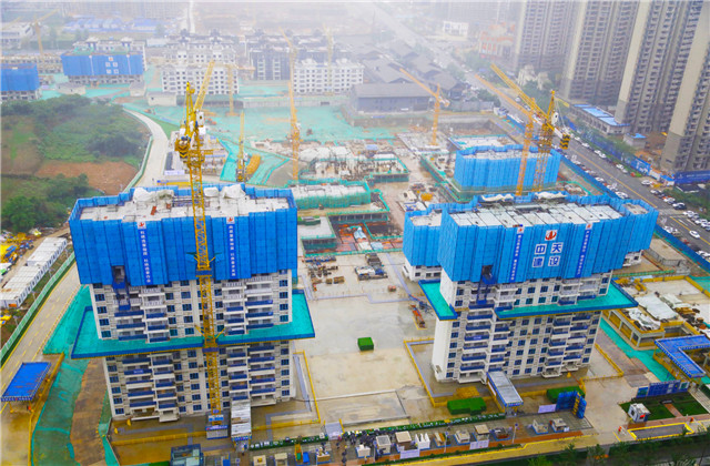 “抓实”、“重构”！OD（中国）官方控股集团上半年项目管理标准化推进会顺利举办