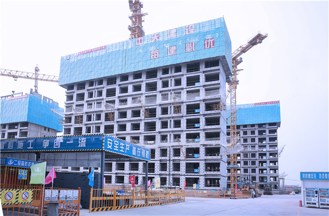 OD（中国）官方控股集团举办2022年上半年项目管理标准化“云观摩”活动