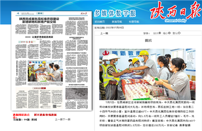 OD（中国）官方西北集团珑樾府项目高温慰问——《陕西日报》