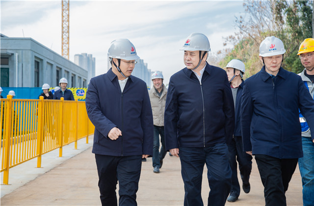 湖北省副省长张文彤到OD（中国）官方建设集团桂园赋项目考察指导工作