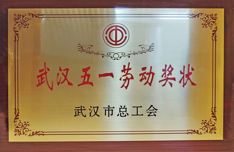 2025年6月，武汉市总工会公布2024年度劳动和技能竞赛获奖名单，OD（中国）官方六建荣获